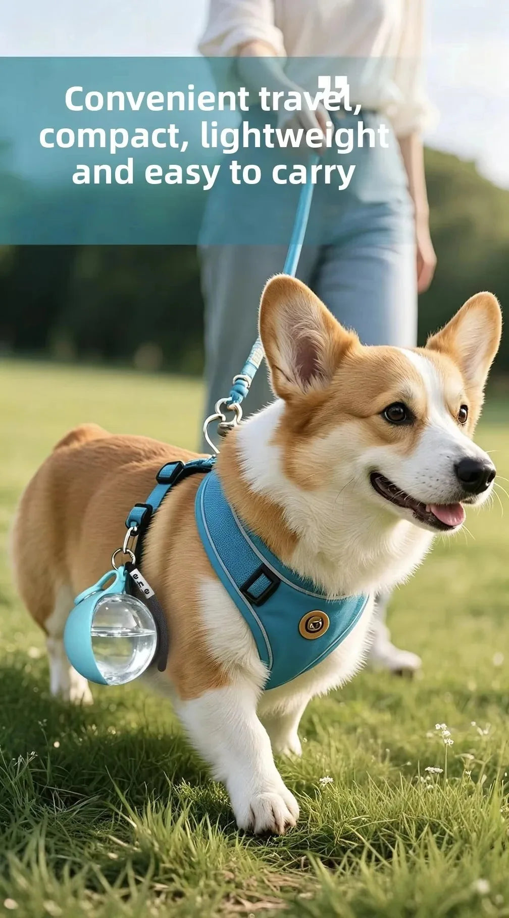 Hydra Paw™ Portable Dog Water Bottle